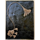 thumbnail Encrine Seirocrinus d’Holzmaden/Württemberg - Réplique exacte - 180 millions d'années - Toarcien schiste ardoisier - L'encrine est appelée 